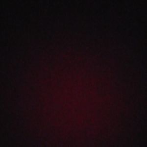 Meet your Posher, Tasha